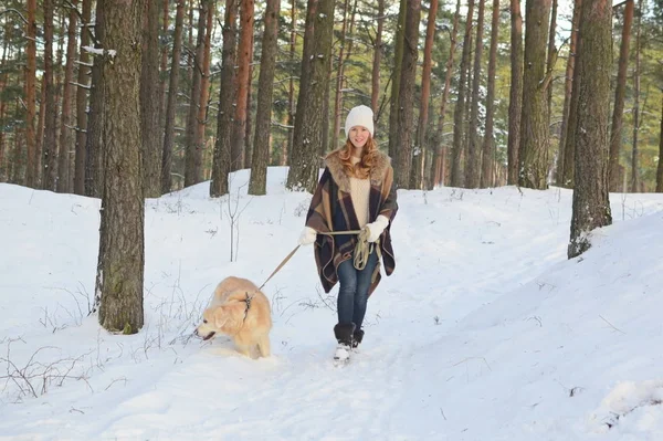 Ganska Ung Kvinna Vinter Skog Promenader Med Sin Hund Golden — Stockfoto