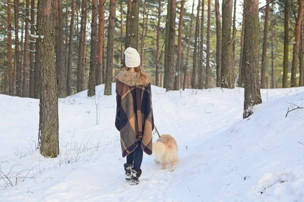 Ganska Ung Kvinna Vinter Skog Promenader Med Sin Hund Golden — Stockfoto