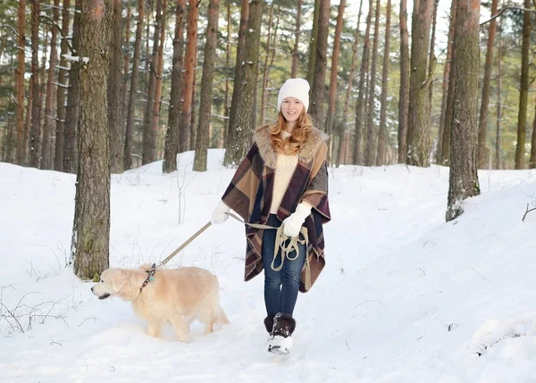 Ganska Ung Kvinna Vinter Skog Promenader Med Sin Hund Golden — Stockfoto