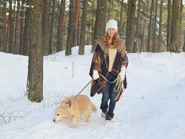 Ganska Ung Kvinna Vinter Skog Promenader Med Sin Hund Golden — Stockfoto