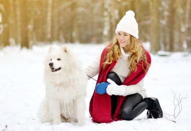 Karlı kış Forest Park yürüme onun köpek beyaz Samoyed mevsimlik tonda güneş ışığı ile güzel bir genç kadın