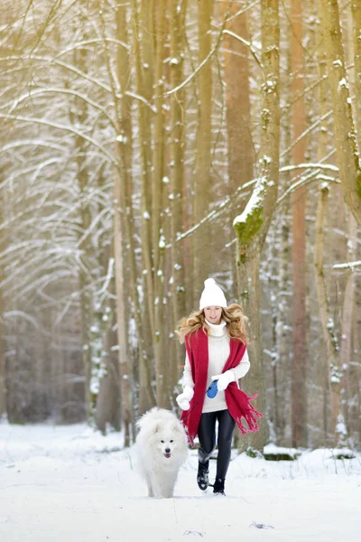 Dość Młoda Kobieta Snowy Zimowych Forest Park Chodzenie Jej Pies — Zdjęcie stockowe