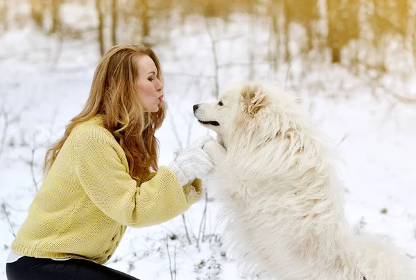 Pretty Young Woman Winter Snowy Forest Park Walking Her Dog — Stock Photo, Image