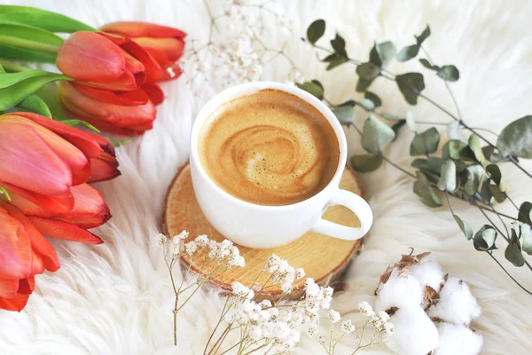 Ζεστό Καφέ Καπουτσίνο Τσάι Κύπελλο Άνοιξη Τονισμένο Φωτογραφία Λευκή Γούνα — Φωτογραφία Αρχείου