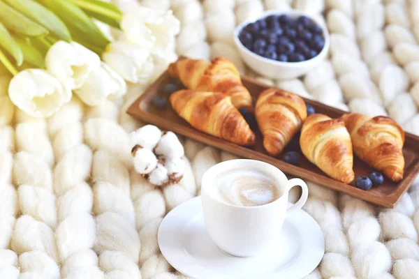 Coupe Avec Cappuccino Croissants Baies Couverture Tricot Géant Pastel Blanc — Photo