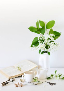 Vazo ile beyaz çiçekler kuş kiraz ağacı, sabah, fincan kahve, eski kitap, bahar zamanı, yaz kavramı, beyaz arka plan, kopya alanı ile
