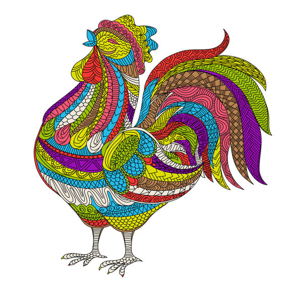 Rooster, Cock vector illustration. Hand drawn farm bird in doodle style for adult antistress coloring pages, books, art therapy. Sketch t-shirt print.