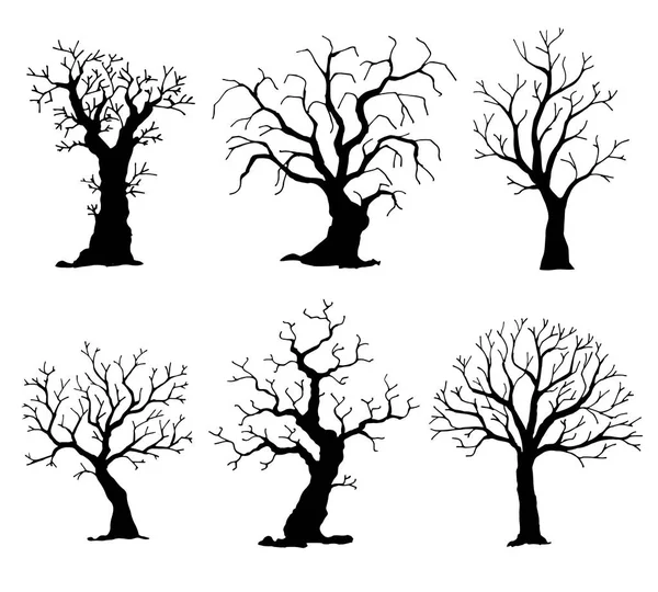Kumpulan siluet pohon. Pohon vektor diisolasi pada latar belakang putih - Stok Vektor