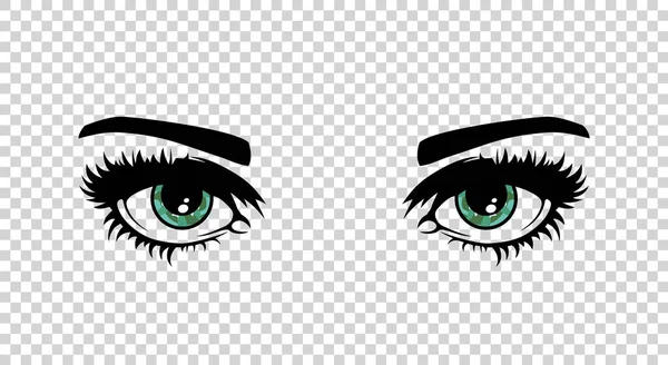 Vektor gröna kvinnliga ögon med långa ögonfransar och späd. Vackra flickor — Stock vektor