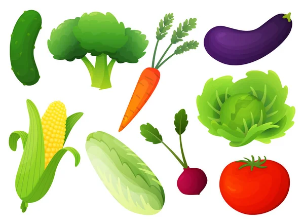 Набор векторов из свежих овощей. Здоровое питание плоский стиль иллюстрации. Изолированные зеленые продукты питания, могут быть использованы в меню ресторана, кулинарные книги и органические этикетки фермы. Концепция веб-баннеров, инфографика — стоковый вектор