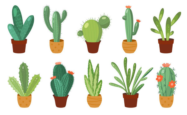 Cartoon cactus set. Vector set of bright cacti and aloe. Colored, bright cacti flowers isolated on white background
