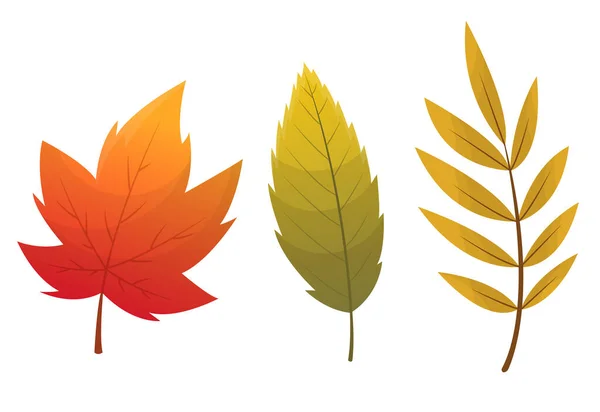 Collection de feuilles d'automne. Ensemble de feuilles d'automne, isolées sur fond blanc. Simple dessin animé style plat, illustration vectorielle. Multicolore automne laisse des icônes vectorielles plates — Image vectorielle