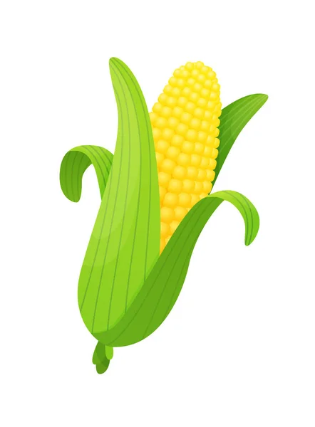 Koncepcja wektora świeżych warzyw kukurydzy. Zdrowa dieta płaski styl ilustracji. Odizolowana zielona żywność, może być używana w menu restauracji, książkach kucharskich i ekologicznej etykiecie gospodarstwa — Wektor stockowy