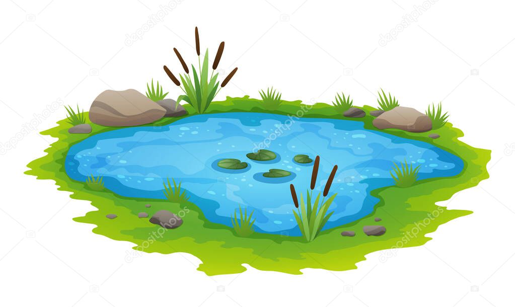 Natural pond outdoor scene. Small blue decorative pond isolated on white, lake plants nature landscape fishing place. Scenery of natural pond with flower bloom. Graphic design for Spring season