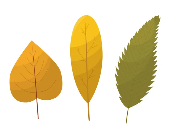 낙엽 수집 품. 하얀 배경에 고립된 가을 낙엽들이 있습니다. 단순 한 만화 플랫 스타일, 벡터 일러스트. 다 문화 가을이면 평평 한 벡터 아이콘 이 남는다 — 스톡 벡터