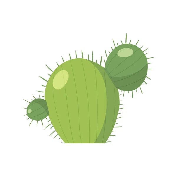 Cartoon cactus. Vectorset van heldere cactussen. Gekleurd, cactussen ontwerp geïsoleerd op witte achtergrond — Stockvector