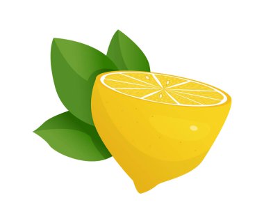 Beyaz arka planda limon dilimi vektör çizimi. Taze ekşi limon ikonu. Logo tasarımı