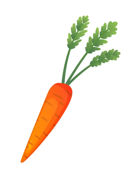 Konsep vektor sayuran segar wortel. Ilustrasi gaya diet datar yang sehat. Makanan hijau yang terisolasi, dapat digunakan dalam menu restoran, buku masak, dan label pertanian organik - Stok Vektor