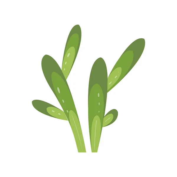 Cactus de dibujos animados. Conjunto vectorial de cactus brillantes. Color, diseño de cactus aislado sobre fondo blanco — Vector de stock