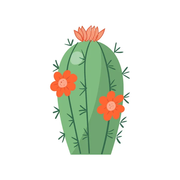 Kaktus Kartun. Vektor cacti cerah. Warna, bunga cacti cerah terisolasi pada latar belakang putih - Stok Vektor