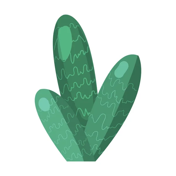 Cactus de bande dessinée. Ensemble vectoriel de cactus lumineux. Coloré, cactus design isolé sur fond blanc — Image vectorielle