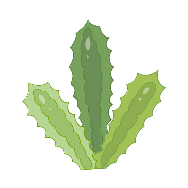 Cartoon cactus. Vectorset van heldere cactussen. Gekleurd, cactussen ontwerp geïsoleerd op witte achtergrond — Stockvector