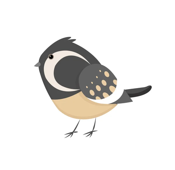 Roztomilý malý barevný ptáček izolovaný na bílém pozadí. Venkovský vrabčák. Malý ptáček v roztomilém kresleném stylu. Izolovaná ilustrace vektorového klipu. Pták vynikající víla wren vektor ilustrace — Stockový vektor