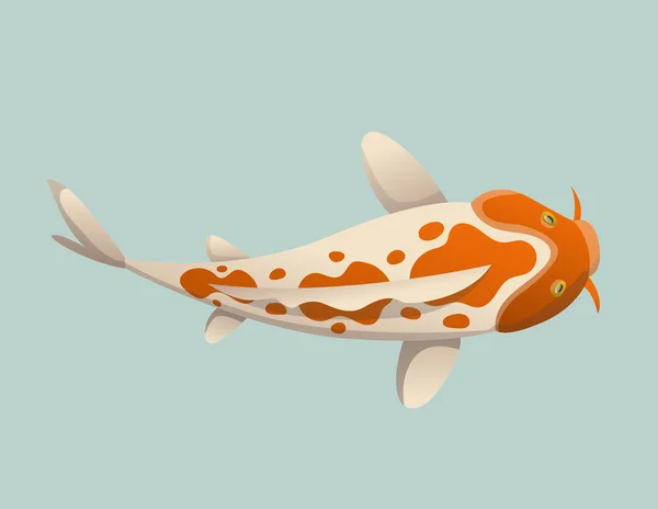 Ruhig treibende Fische. koi fish vector illustration japanischer karpfen, farbenfrohe orientalische koi in asien. Chinesischer Goldfisch, traditionelle Fischerei isoliert auf Hintergrund — Stockvektor