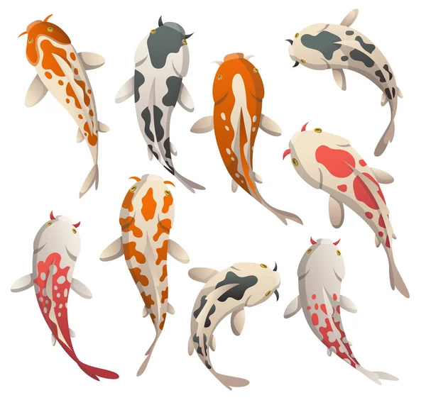 Peces tranquilamente flotantes. Koi peces vector ilustración carpa japonesa y koi oriental colorido en Asia. Conjunto de peces de colores chinos, pesquería tradicional aislada en el fondo — Archivo Imágenes Vectoriales