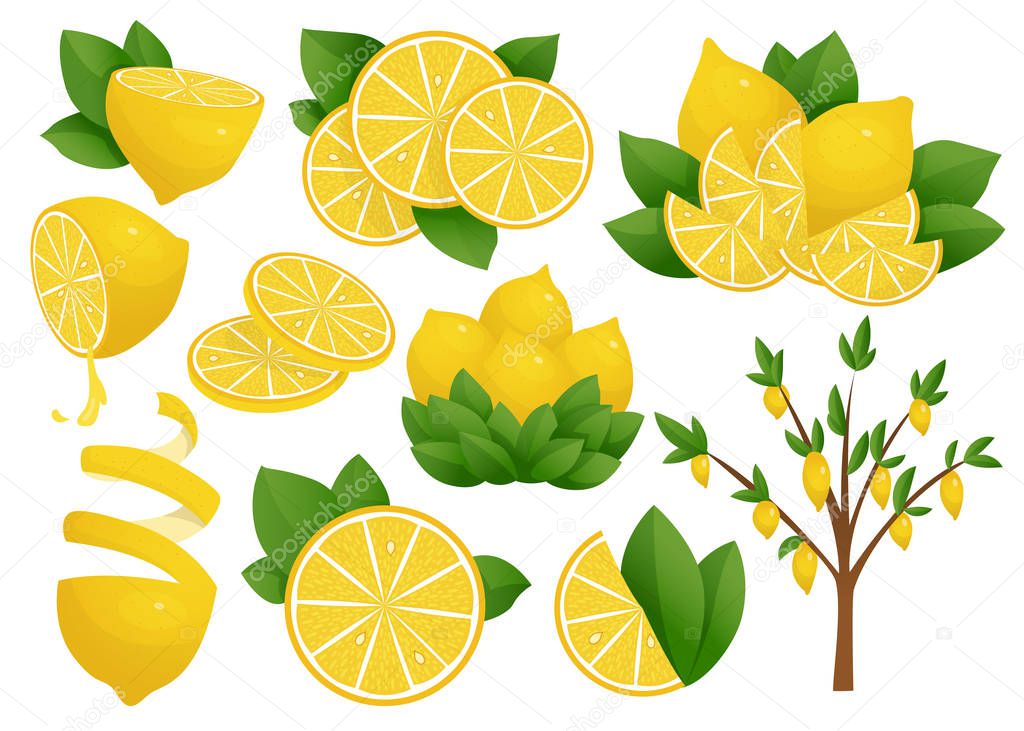 Set of Lemon slice. Vector illustration on white background. Lemon tree. Fresh sour lemon icon. Logo design.