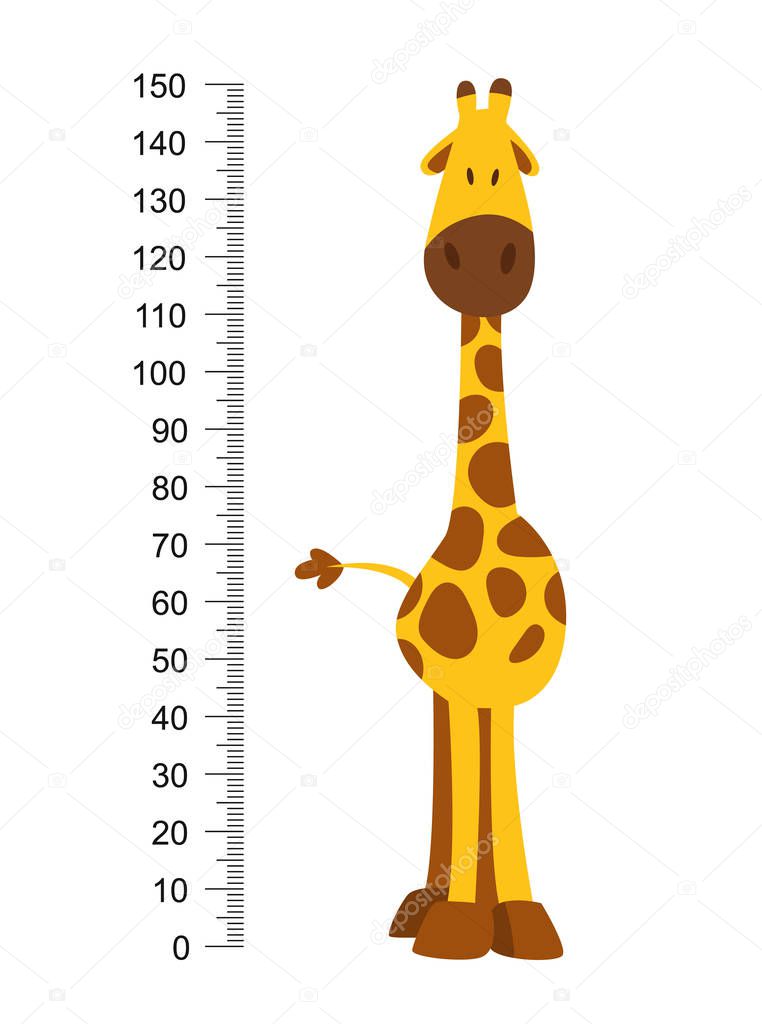 Cheerful funny giraffe with long neck. Height meter or meter wall or wall sticker from 0 to 150 centimeters to measure growth. Childrens vector illustration