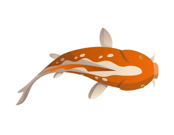 Ikan mengambang dengan tenang. Koi fish vector illustration Japanese carp, colorful oriental koi in Asia (dalam bahasa Inggris). Ikan mas Cina, perikanan tradisional yang terisolasi di latar belakang - Stok Vektor