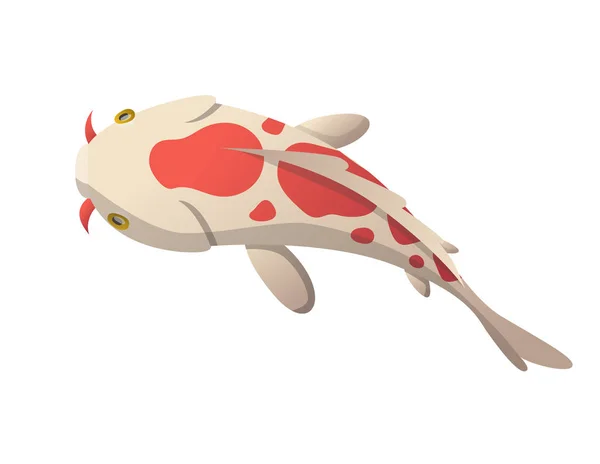 Rustig drijvende vissen. Koi vis vector illustratie Japanse karper, kleurrijke oosterse koi in Azië. Chinese goudvis, traditionele visserij geïsoleerd op de achtergrond — Stockvector