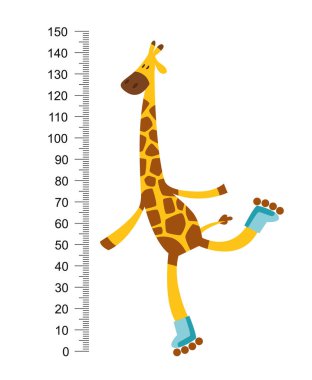 Cheerful funny giraffe on riller with long neck. Height meter or meter wall or wall sticker from 0 to 150 centimeters to measure growth. Childrens vector illustration clipart