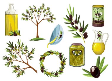 Zeytin yağı etiketleri, ambalaj tasarımı, doğal ürünler, restoran için vektör çizimleri. Zeytin dekoratif ikonlar. Zeytin yağı ambalajı için el çizimi vektör çizimi şablonları. Eko tasarımı