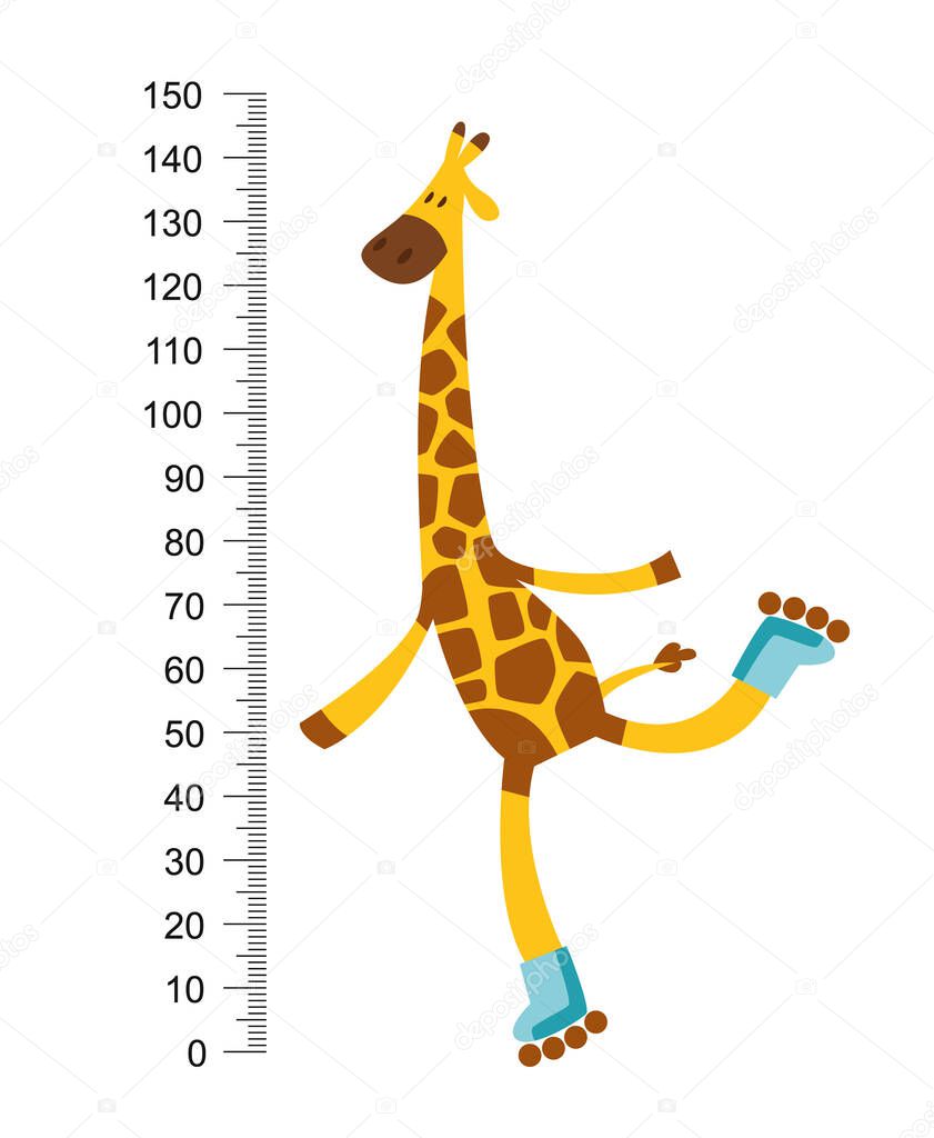 Cheerful funny giraffe on riller with long neck. Height meter or meter wall or wall sticker from 0 to 150 centimeters to measure growth. Childrens vector illustration