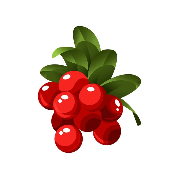 Handgetekende takken lingonberry bessen met bladeren. Verse zomerbessen. Fruit plantkunde cartoon vector illustratie. Vers biologisch voedsel — Stockvector