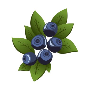 Yapraklı el yapımı yaban mersini. Taze yaz meyveleri. Meyve botanik karikatürü vektör çizimi. Taze organik gıda.