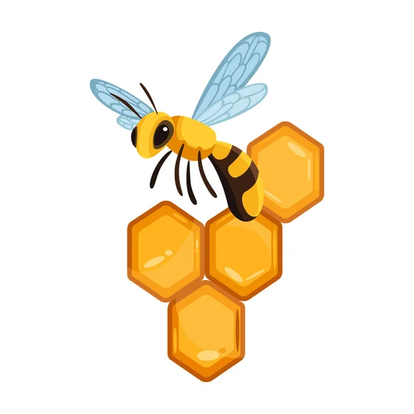 Rayon de miel avec des gouttes de miel. Du miel doux avec des abeilles. Logo pour magasin ou boulangerie. Nature morte avec concept de miel. Délicieux fond alimentaire — Image vectorielle