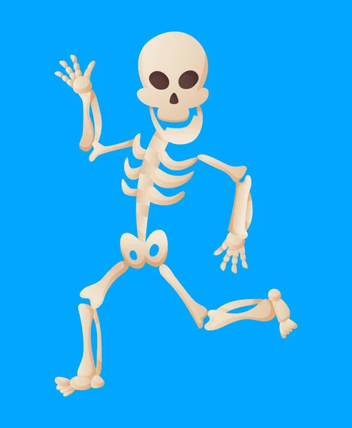 Funny cartoon skeleton posing while running. Vector bony character. Human bones illustration skeletal. Dead man on color background — Stock Vector