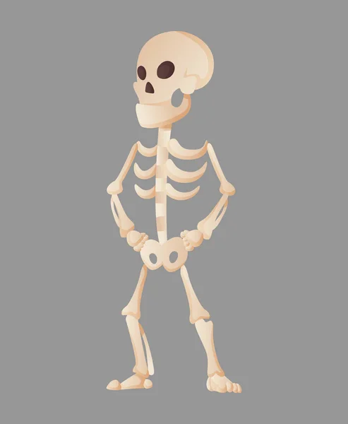 Забавный карикатурный скелет, позирующий стоя. Векторный костлявый персонаж. Иллюстрация скелета человеческих костей. Мертвец на цветном фоне — стоковый вектор