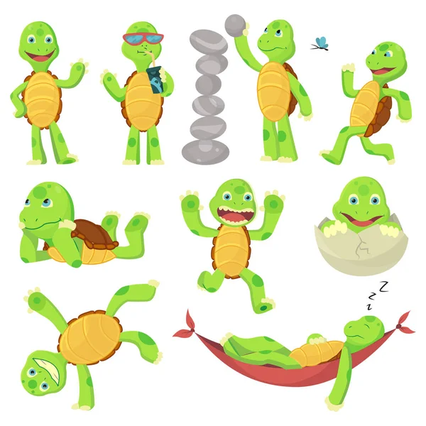 Σύνολο ευτυχισμένη νεαρή χελώνα κινουμένων σχεδίων σε διαφορετικές στάσεις. Φάννυ παιδί. Σχεδιασμός λογότυπου φορέα T-shirt — Διανυσματικό Αρχείο