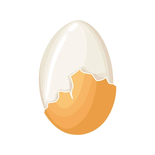 Ei gekocht. Rissige Eierschale und Proteine isoliert auf weißem Hintergrund. Eiervektor gesunde Ernährung — Stockvektor