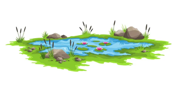 Blue water pond with reeds and stones around. Natural pond outdoor scene. Concept of open small swamp lake in natural landscape style. Graphic design for spring season — Stock Vector