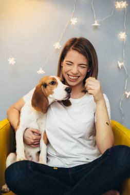 Genç kadın beyaz t-shirt beagle köpek yavrusu ile arka planda gri duvar ile sarı koltuğa gülmek