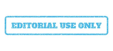 Editoryal kullanım tek pencere boyutu