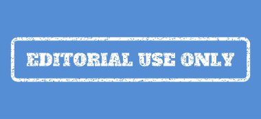 Editoryal kullanım tek pencere boyutu