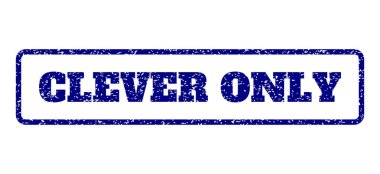 Zeki tek pencere boyutu