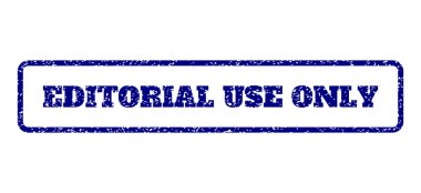 Editoryal kullanım tek pencere boyutu