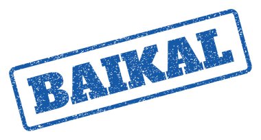 Baykal pencere boyutu